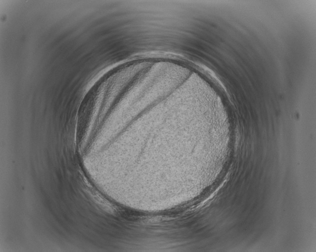 X0000081411228200702021554