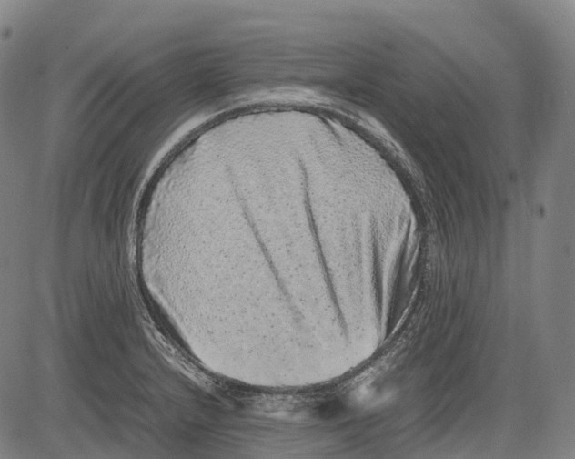 X0000081411232200702021554