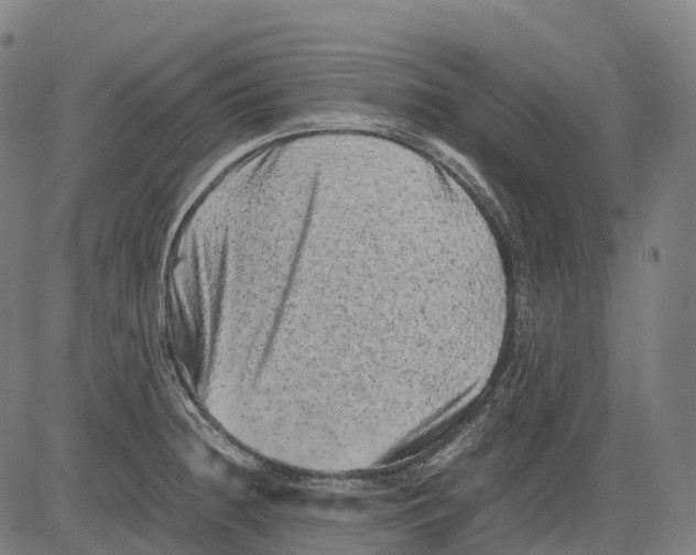 X0000081411236200702021554