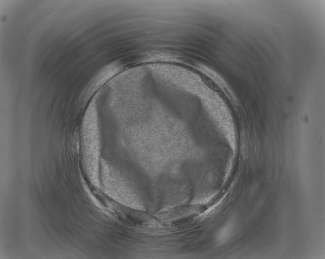 X0000081411241200702021554