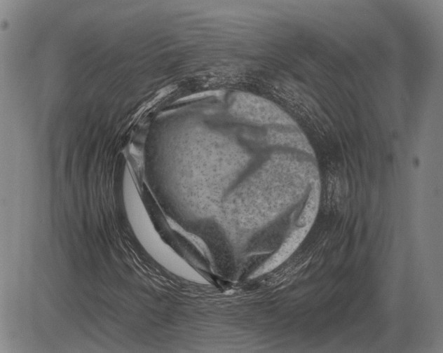 X0000081411250200702021554