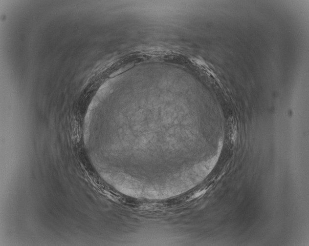 X0000081411253200702021554