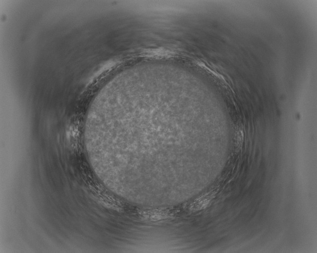 X0000081411254200702021554