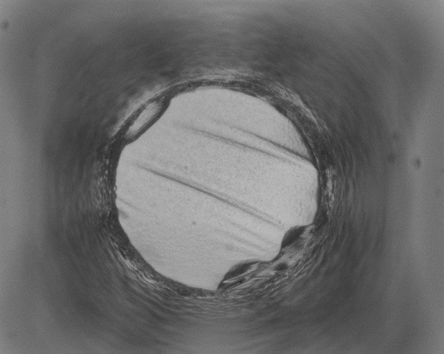 X0000081411256200702021554