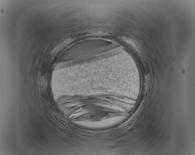 X0000081411257200702021553