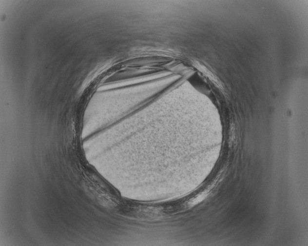 X0000081411261200702021553