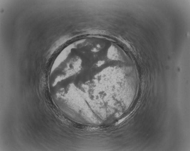X0000081411263200702021553