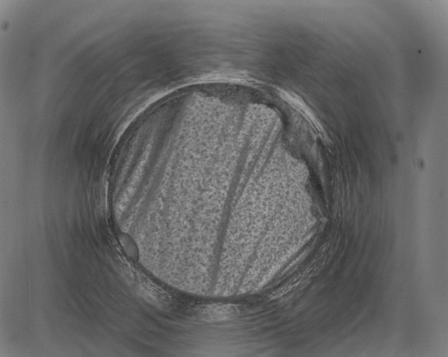 X0000081411268200702021553