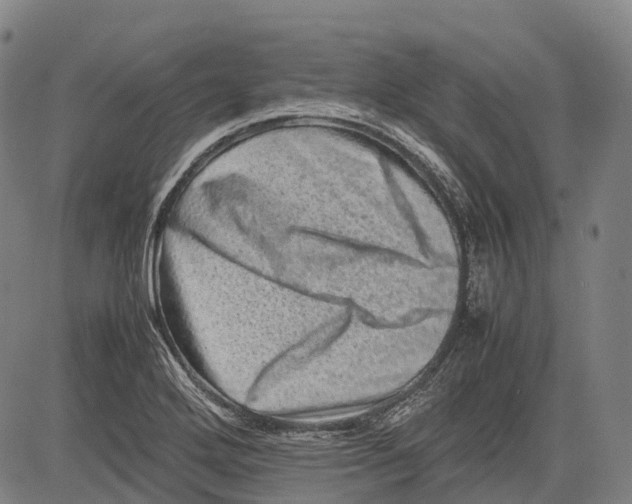 X0000081411272200702021553