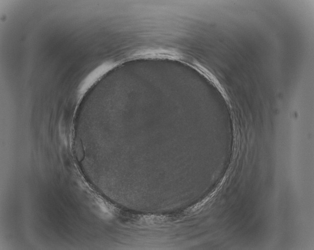 X0000081411277200702021553