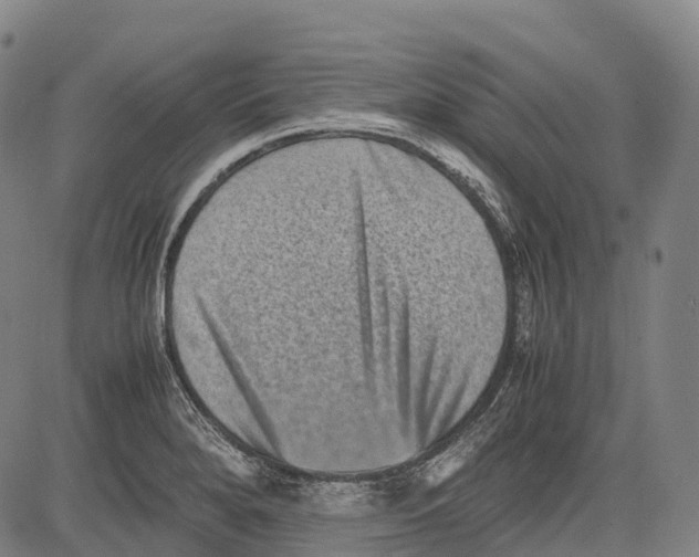 X0000081411280200702021553