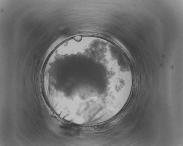 X0000081411291200702021553