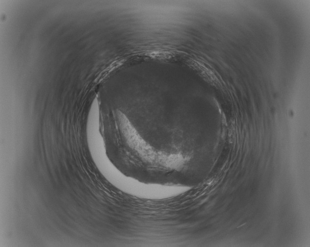 X0000081411298200702021552