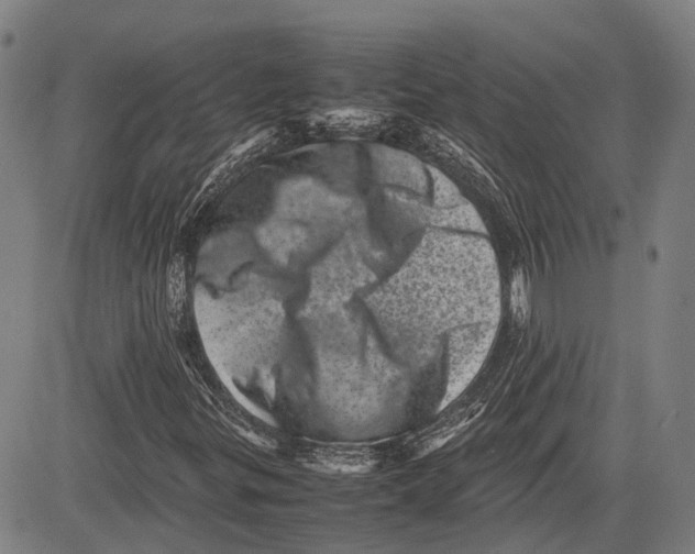 X0000081411299200702021552