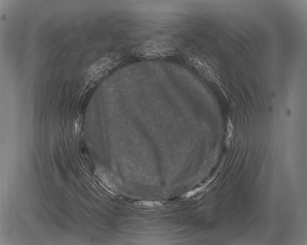 X0000081411300200702021552