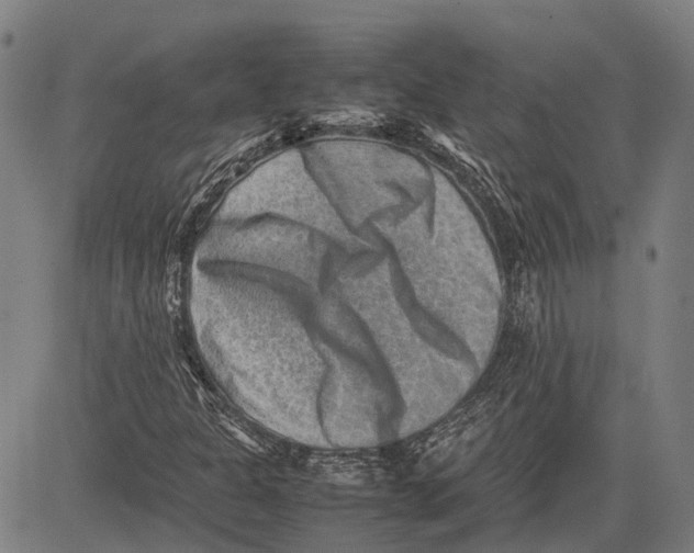 X0000081411301200702021552