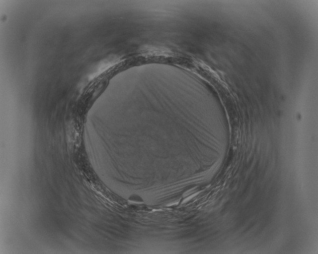 X0000081411303200702021552