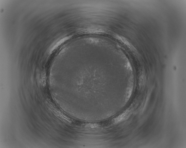 X0000081411306200702021552