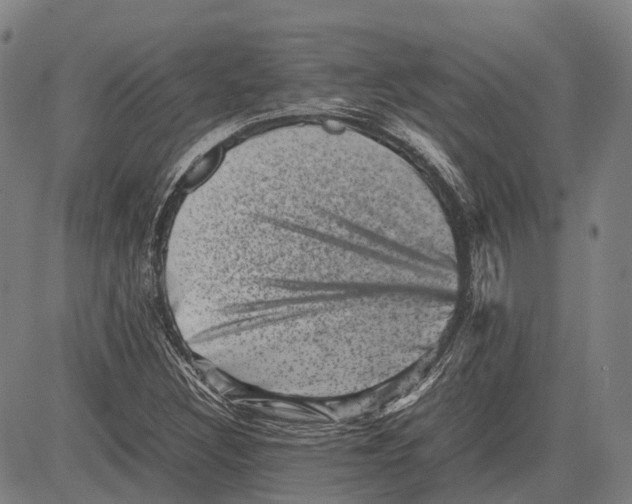 X0000081411308200702021552