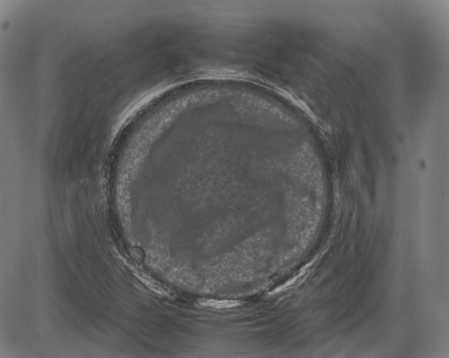 X0000081411311200702021552