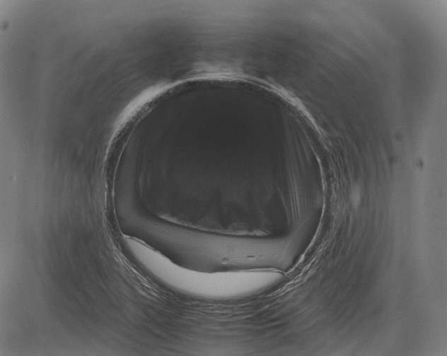 X0000081411319200702021552