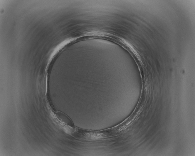 X0000081411323200702021553
