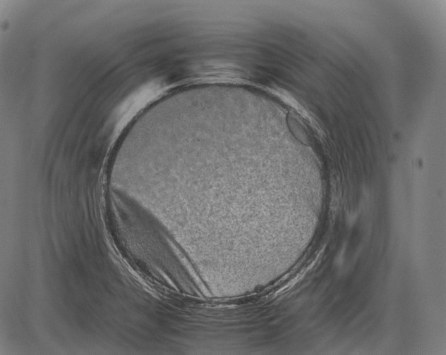 X0000081411325200702021553