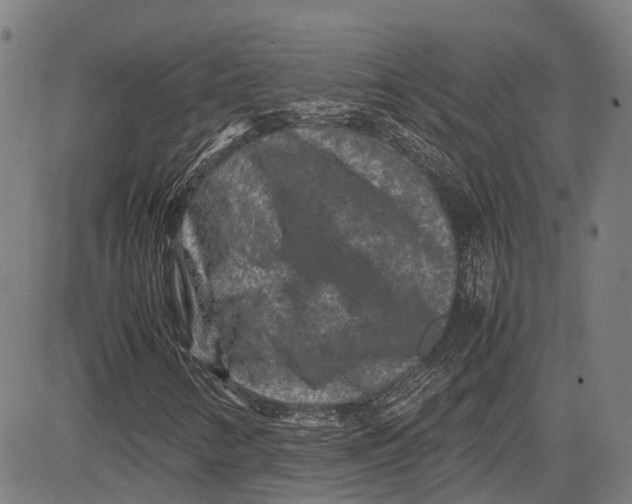 X0000081411346200702021552