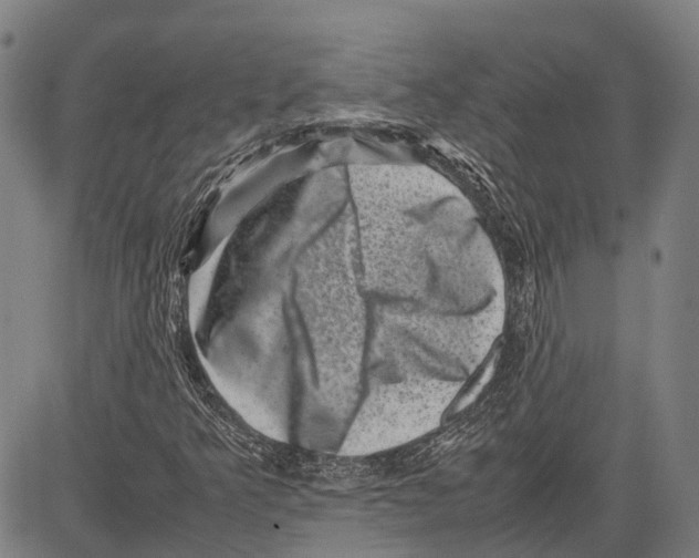 X0000081411349200702021552