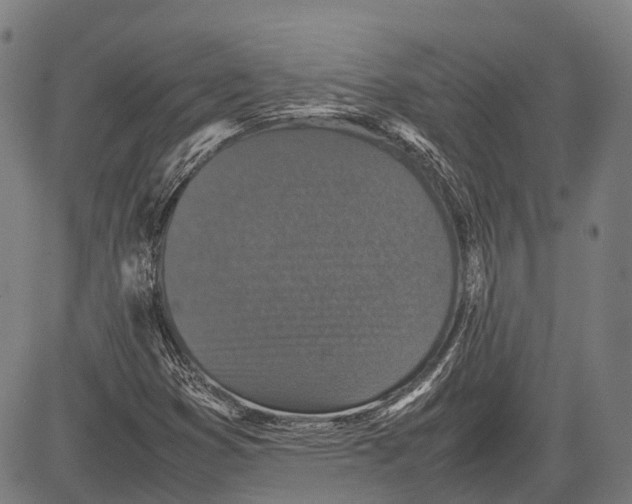 X0000081411353200702021552