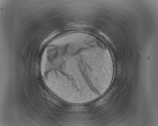 X0000081411354200702021552