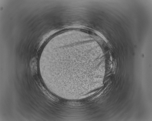 X0000081411356200702021552