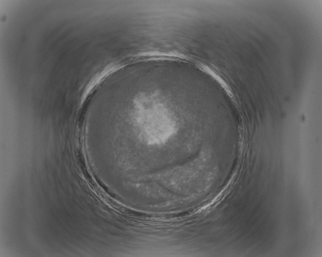 X0000081411357200702021552