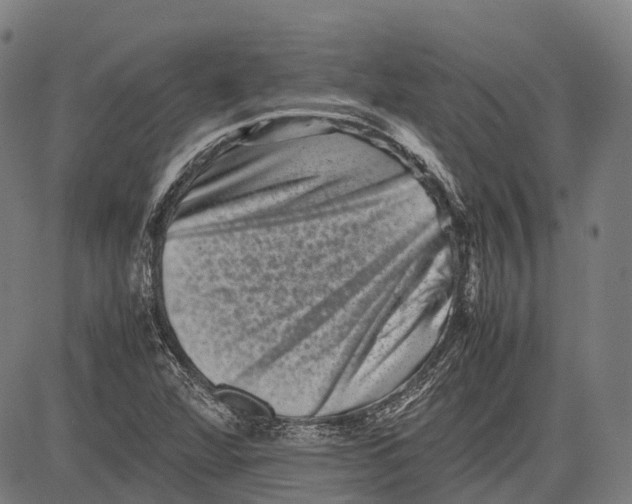 X0000081411360200702021552