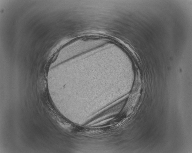 X0000081411363200702021552