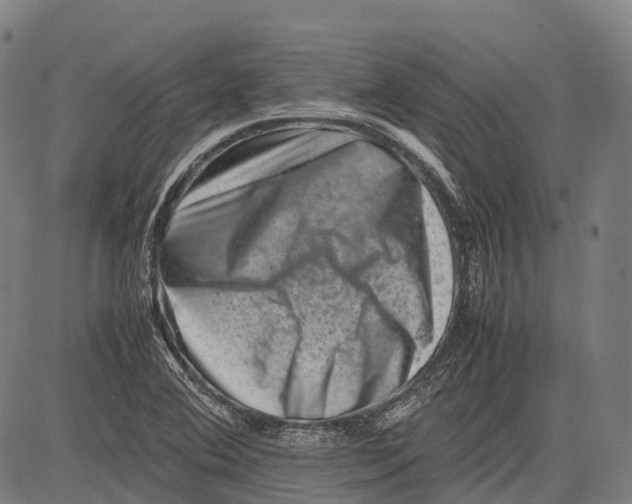 X0000081411364200702021552