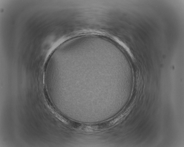 X0000081411365200702021552