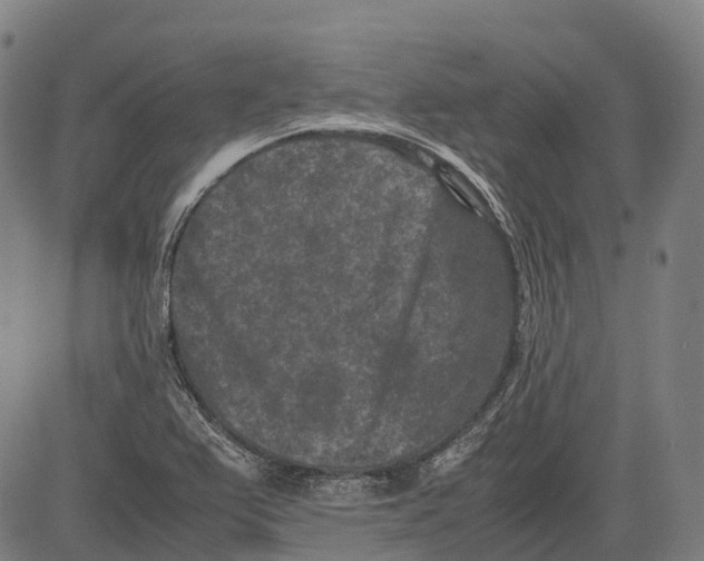 X0000081411367200702021552