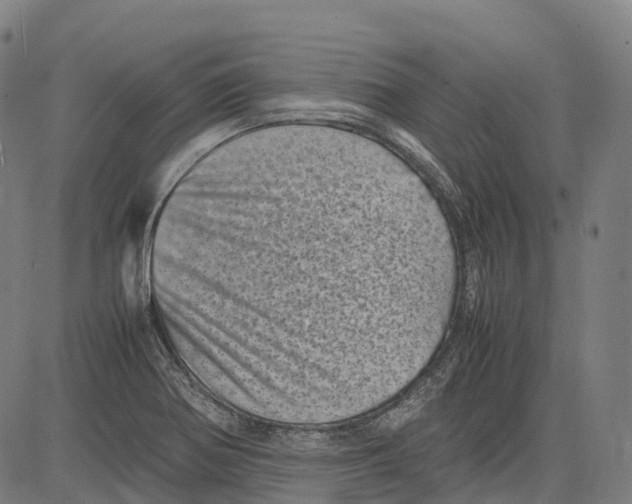 X0000081411370200702021552