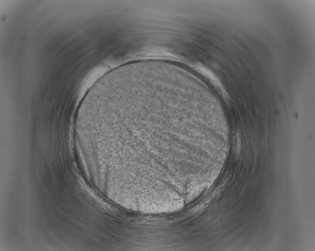 X0000081411374200702021552