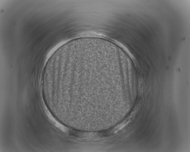 X0000081411387200702021551