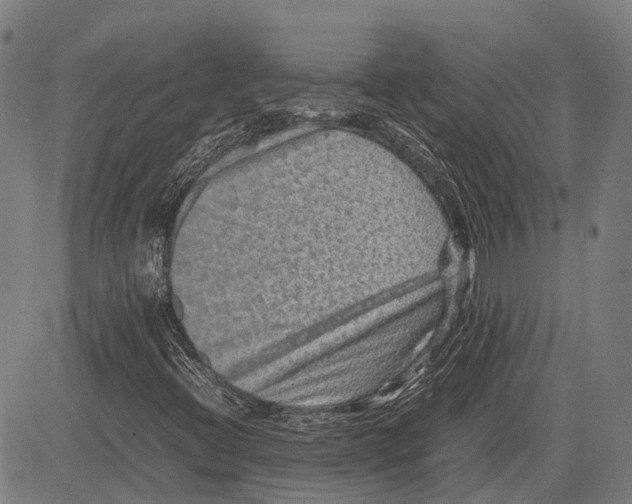 X0000081411396200702021551