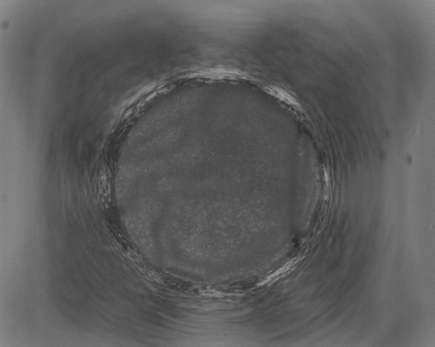 X0000081411398200702021551