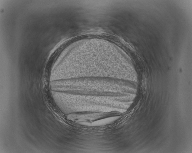 X0000081411400200702021551