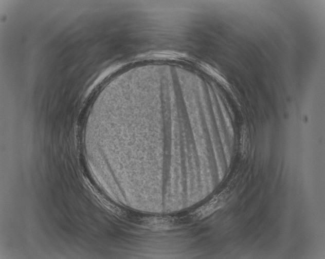 X0000081411404200702021551