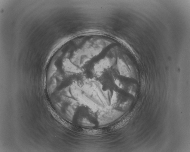 X0000081411413200702021551