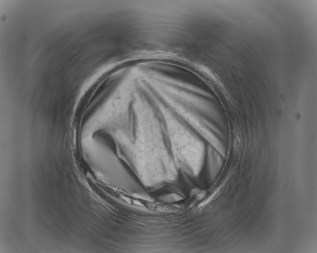 X0000081411414200702021551