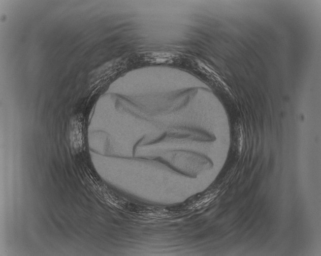 X0000081411442200702021551