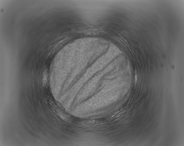 X0000081411444200702021550