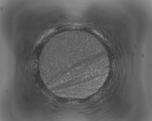 X0000081411447200702021550